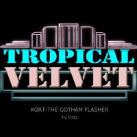 Artwork for The Gotham Flasher by KORT