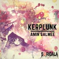 Artwork for Kerplunk by Amin Salmee