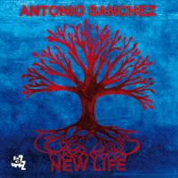 Artwork for New Life by Antonio Sanchez