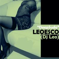 Artwork for Deepsudo by Leoesco