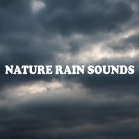 Artwork for Nature Rain Sounds by Rain Sounds