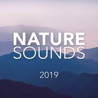 Artwork for Nature Sounds 2019 by Soothing Sounds