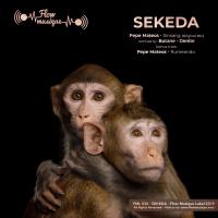 Artwork for SEKEDA by Pepe Mateos