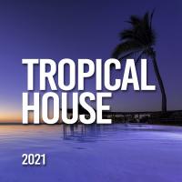 Artwork for Tropical House 2021 by Tropical House