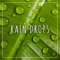 Artwork for Rain Drops by Nature Sounds Nature Music