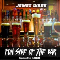 Artwork for Fun Side of the Bar by James Wade