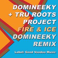 Artwork for Fire & Ice (Domineeky Remix) by Domineeky