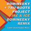 Artwork for Fire & Ice (24900 Miles From Home Version)