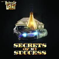 Artwork for Secrets Of My Success by Hydrolic West