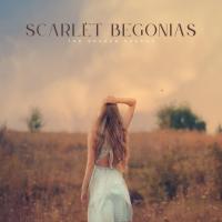 Artwork for Scarlet Begonias (Acoustic) by The Shaken Bakers