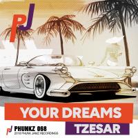 Artwork for Your Dreams by Tzesar