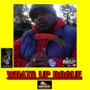 Artwork for What's Up Rogue