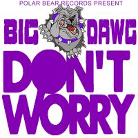 Artwork for Don't Worry by Big Dawg