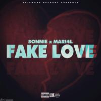 Artwork for Fake Love (feat. MARI4L) by Sonnie