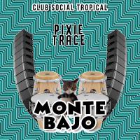 Artwork for Monte Bajo by Pixie Trace