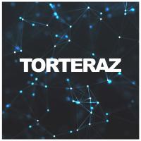 Artwork for Burn It by Torteraz