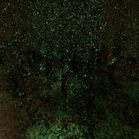 Artwork for Eau de Nil  by Giles Appleton