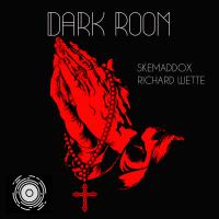 Artwork for Dark Room by skemaddox