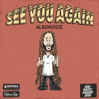 Artwork for See You Again by Alborosie