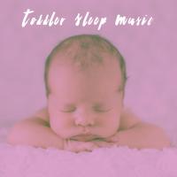 Artwork for Toddler Sleep Music by Sleep Baby Sleep