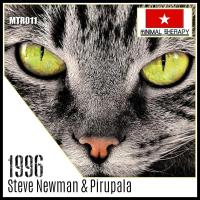 Artwork for 1996 by Steve Newman