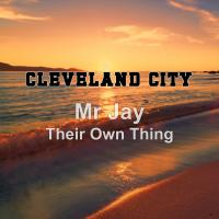 Artwork for Their Own Thing by Mr Jay