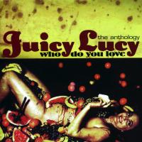 Artwork for Who Do You Love - The Anthology by Juicy Lucy