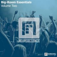 Artwork for Big-Room Essentials - Volume Two by Various Artists