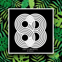 Artwork for Jungle by Javy Groove