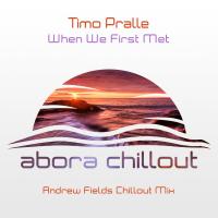 Artwork for When We First Met (Andrew Fields Chillout Mix) by Timo Pralle