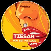 Artwork for You Set My Love by Tzesar