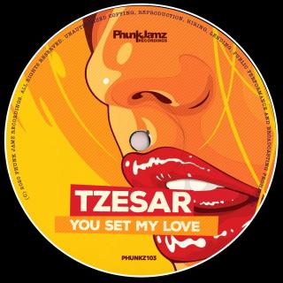 Artwork for You Set My Love (Original Mix)