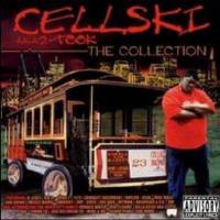 Artwork for The Collection by Cellski