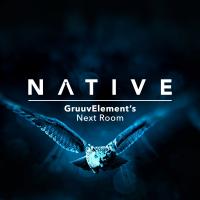 Artwork for Next Room by GruuvElement's