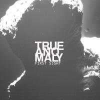 Artwork for First Sight by True Anomaly