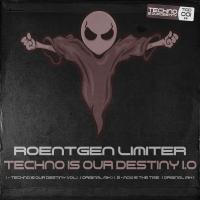 Artwork for Techno Is Our Destiny 1.0 by Roentgen Limiter