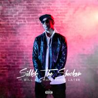 Artwork for It Will All Make Sense Later by Silkk the Shocker