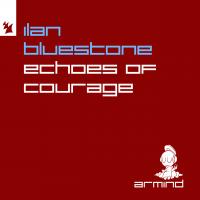 Artwork for Echoes Of Courage by ilan Bluestone
