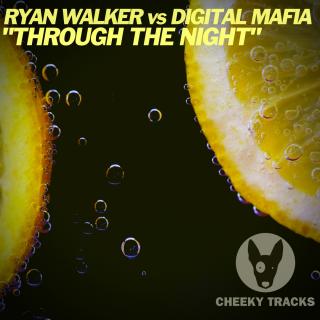 Artwork for Through The Night (Original Mix)
