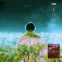 Artwork for NOVA by RL Grime