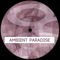 Artwork for Ambient Paradise by Acca