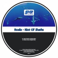 Artwork for Riot Of Sharks by Koala