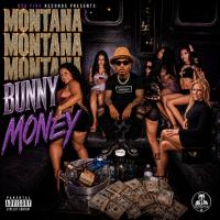 Artwork for Bunny Money by Montana Montana Montana