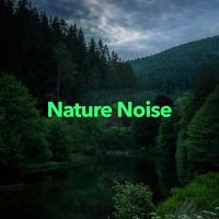 Artwork for Nature Noise by Nature Sounds Nature Music