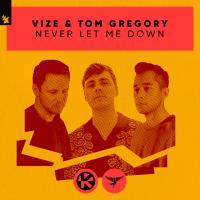 Artwork for Never Let Me Down by VIZE