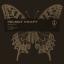 Artwork for Boolean Brain (Original Mix)
