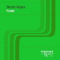 Artwork for Fade by Sinan Kaya