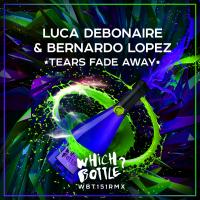 Artwork for Tears Fade Away by Luca Debonaire