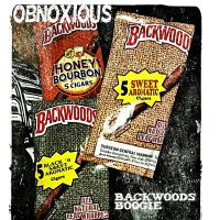 Artwork for Backwoods boogie by Obnoxious