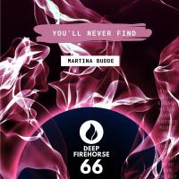 Artwork for You'll Never Find by Martina Budde